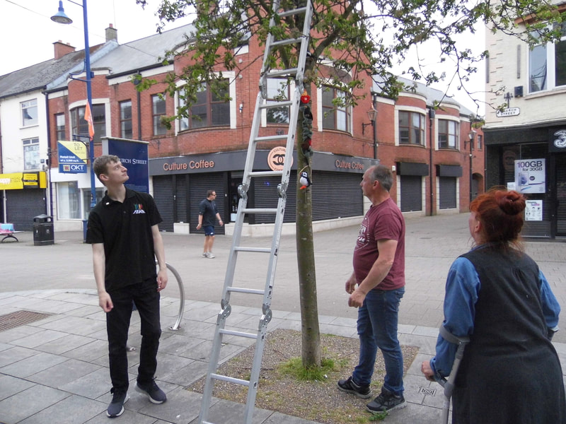 Installing and documenting the yarn-bombing in Coleraine town centre.